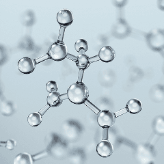 L-Carnitine